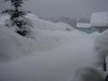 components/com_mambospgm/spgm/gal/Winter 2006/Winter pur/_thb_DSC00903.JPG